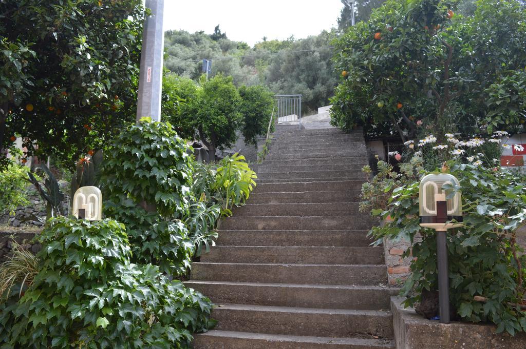La Casa Di Giulia Διαμέρισμα Forza dʼAgro Εξωτερικό φωτογραφία